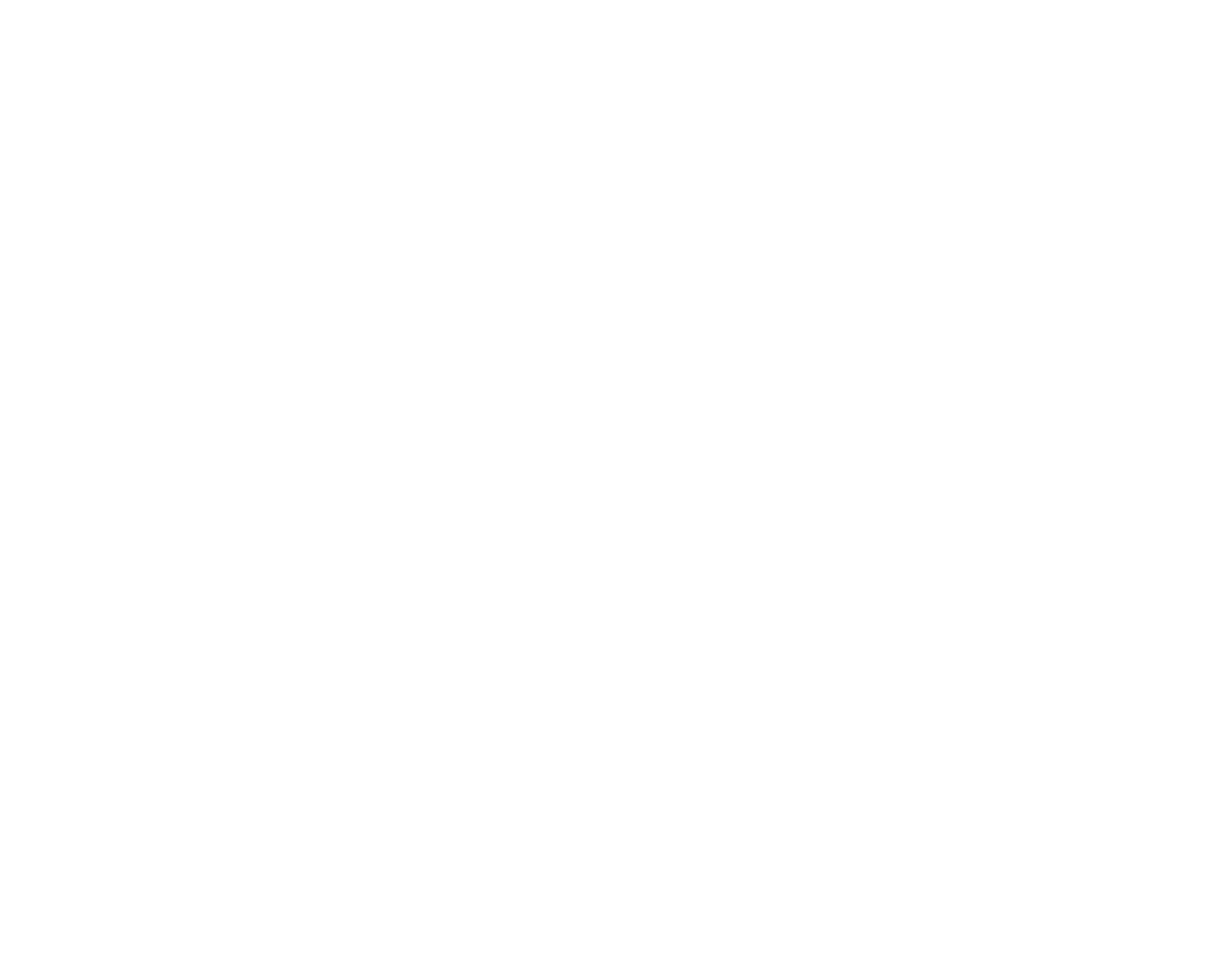 TFM Teile- und Fahrzeughandel Meyer Logo